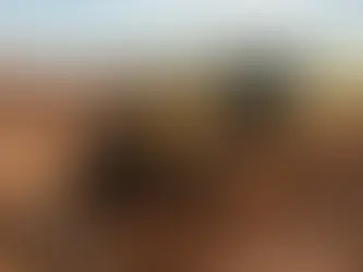 Por que Fazer Curva de Nível no Seu Terreno?