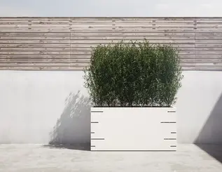 Moderner und stabiler Pflanzentrog für Terrasse