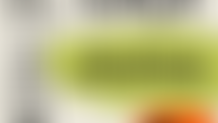 Why did God send the flood?