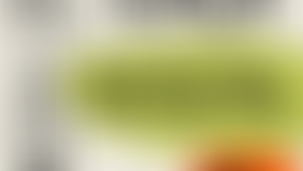 Does Paul say that only men are made in the image of God?