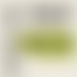 Where Was Jesus Born?