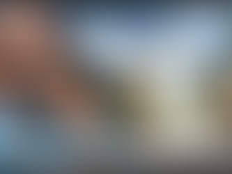 The Hidden Cost of Sending Soldiers to D.C.