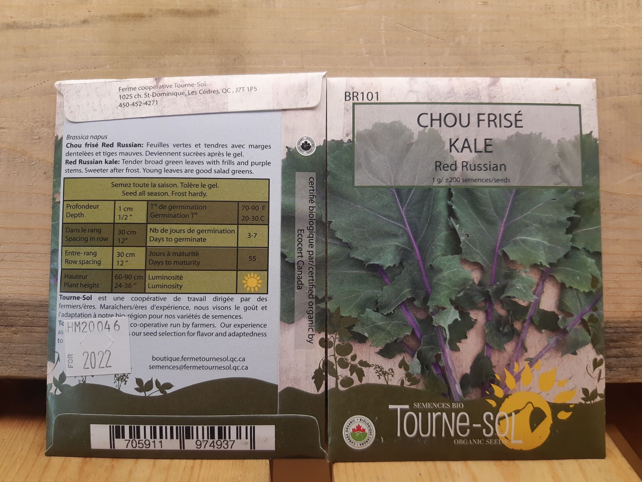 Kale Red Russian