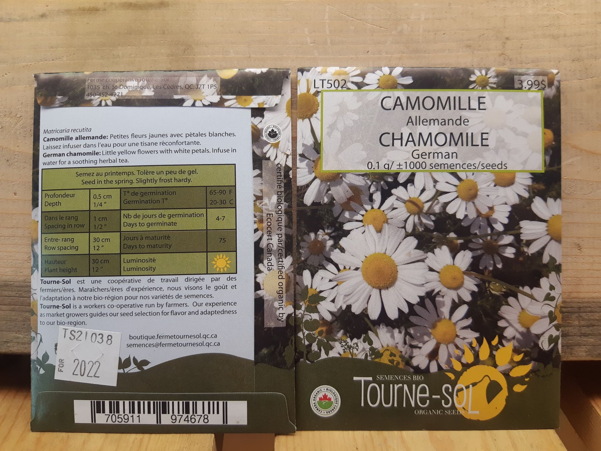 Camomille Allemande