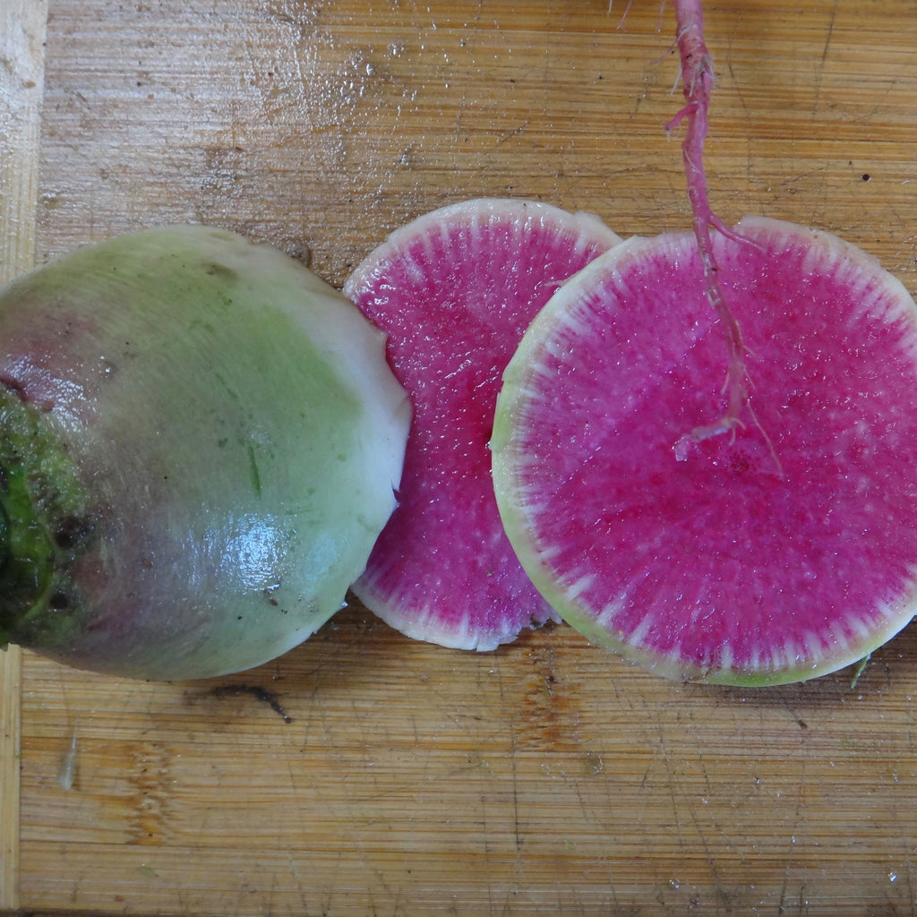 Radis melon d’eau