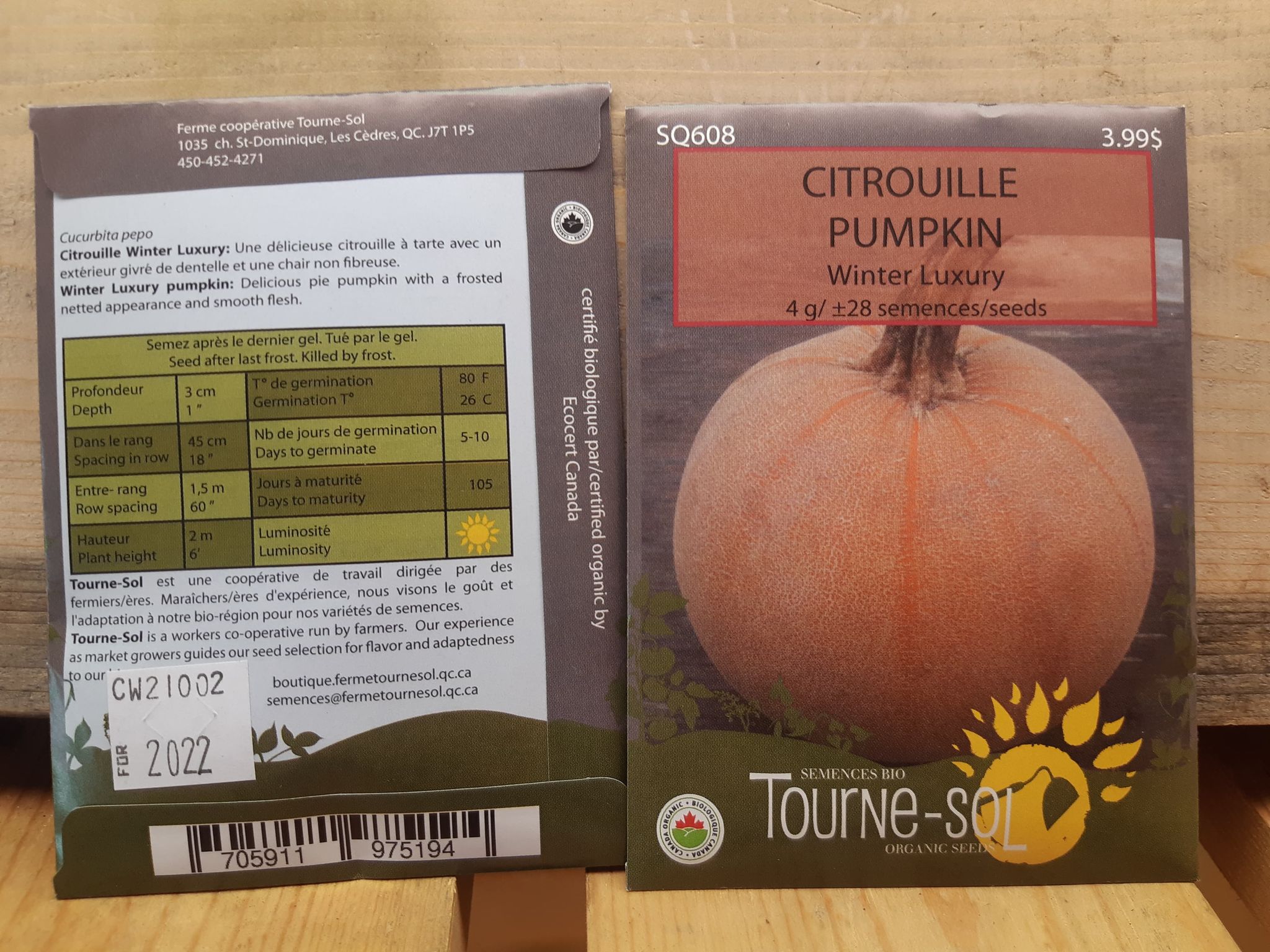 Citrouille Winter Luxury
