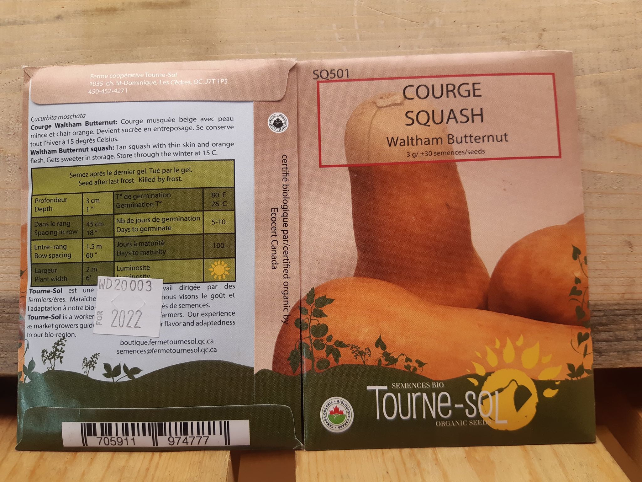 Courge Musquée Waltham