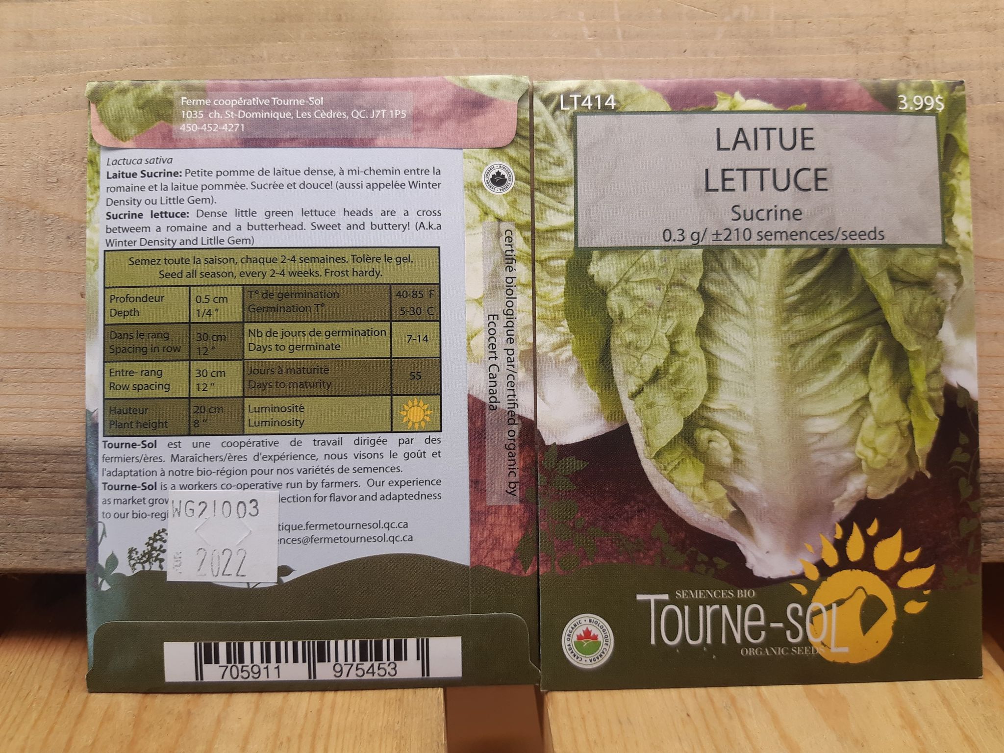 Laitue Sucrine