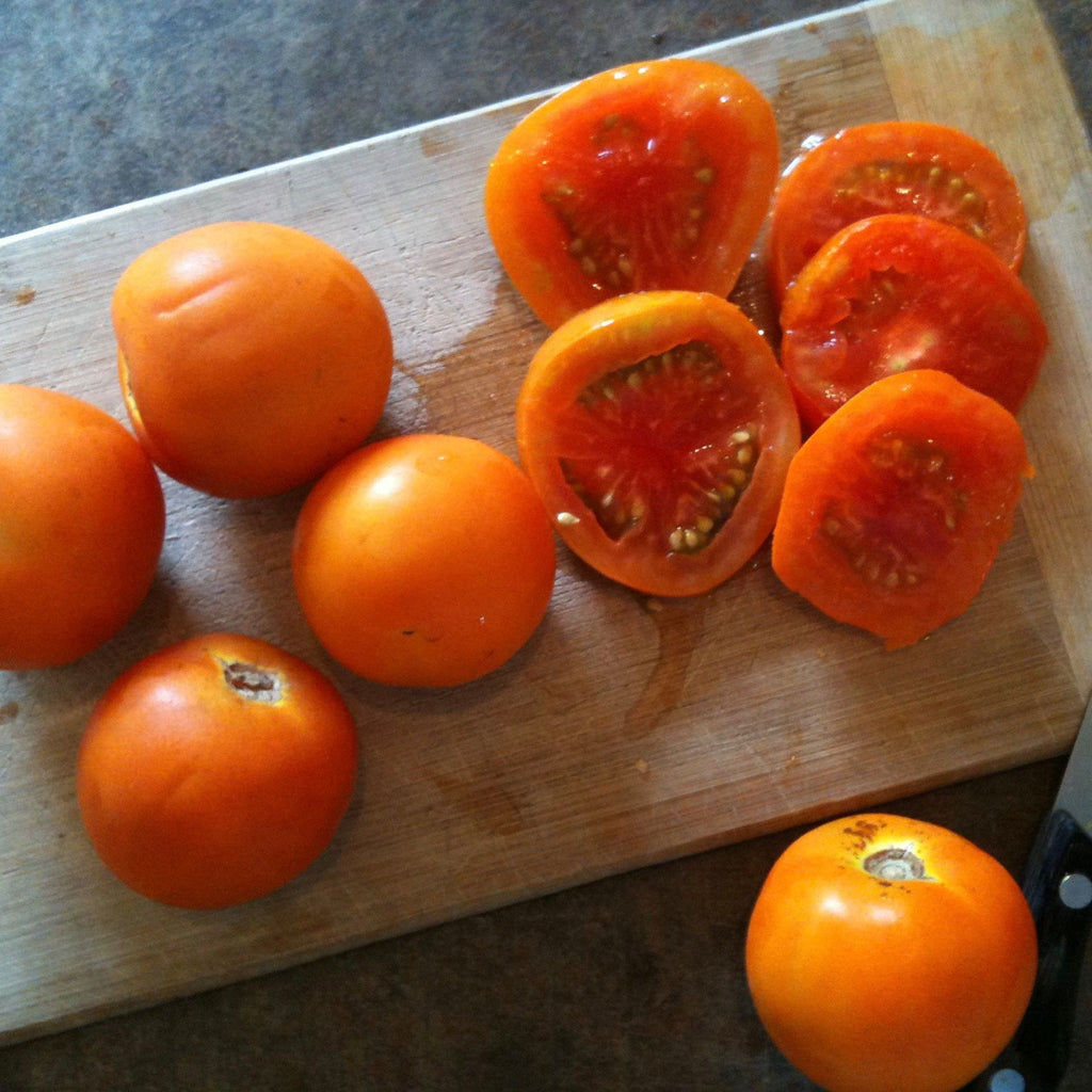 Tomate orange Jaune Flammé