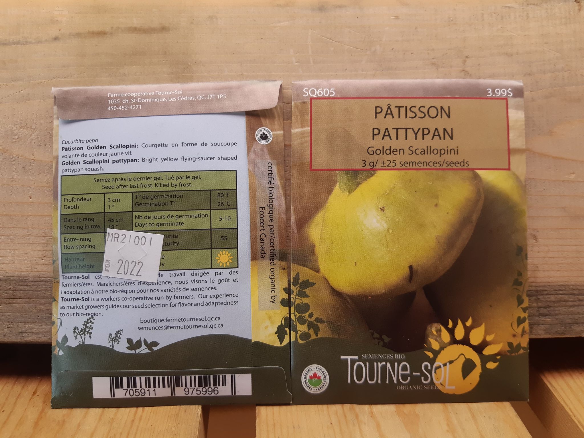Patisson Golden Scallopini