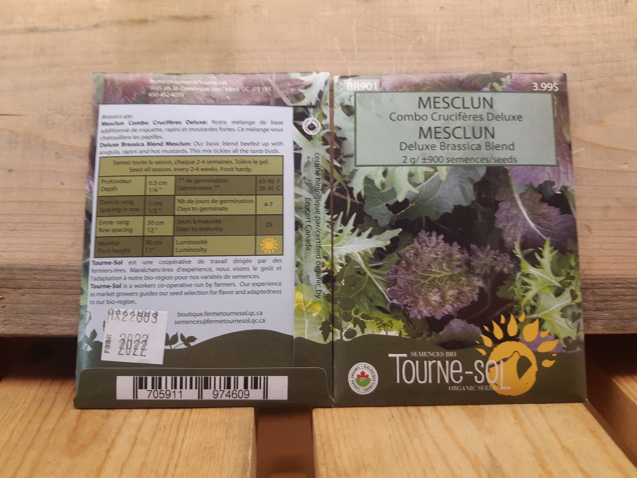 Mesclun mélange crucifères Deluxe