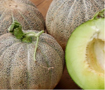 Melon de Montréal Bio