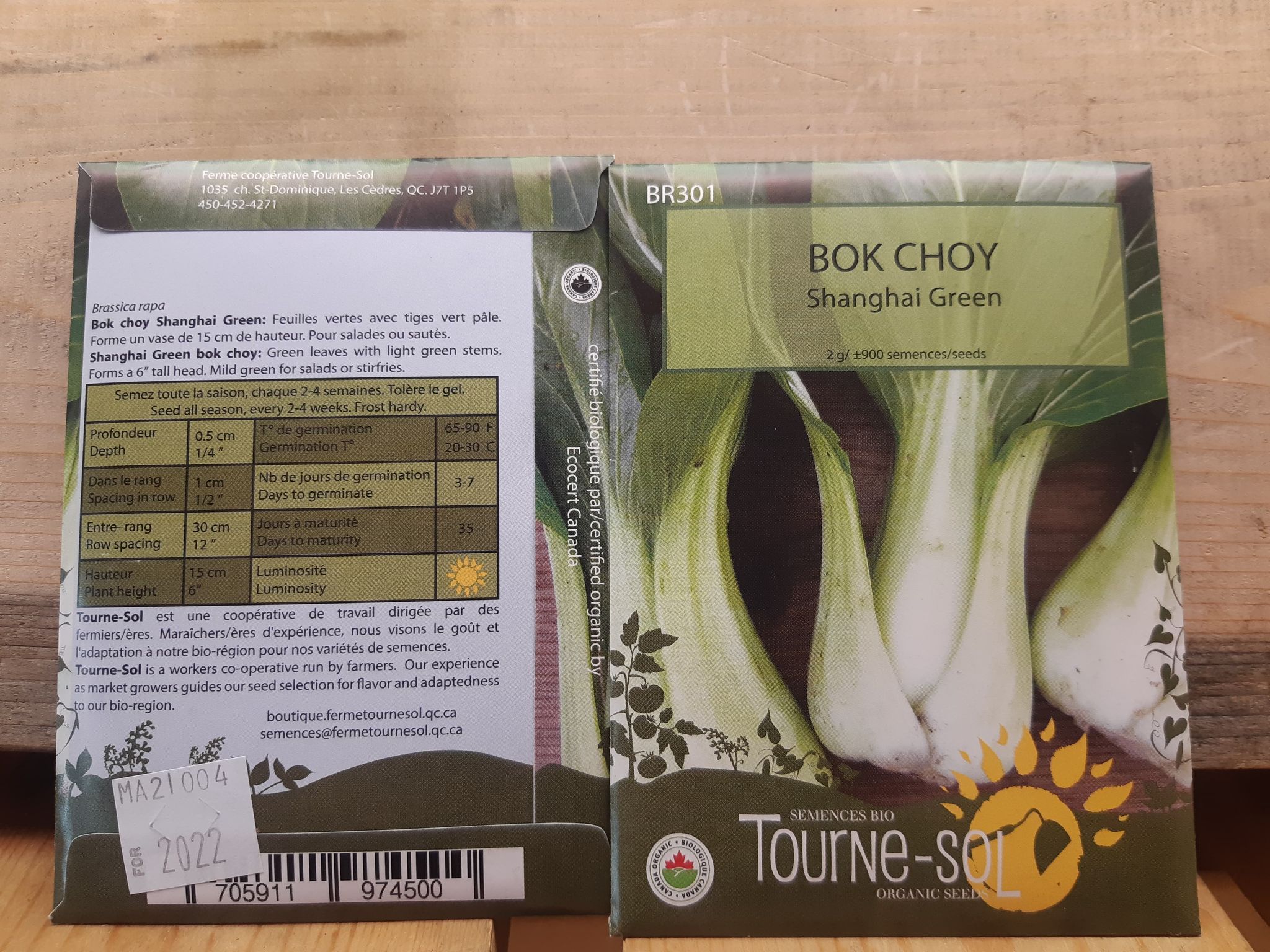 Bok Choy Shangai Green