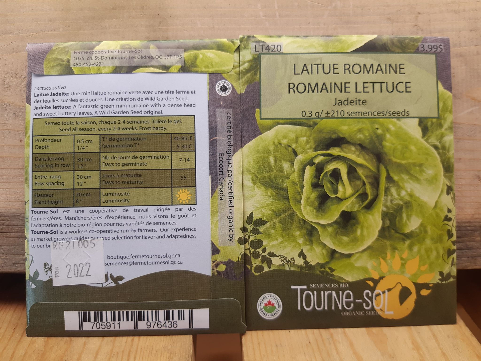 Laitue Romaine