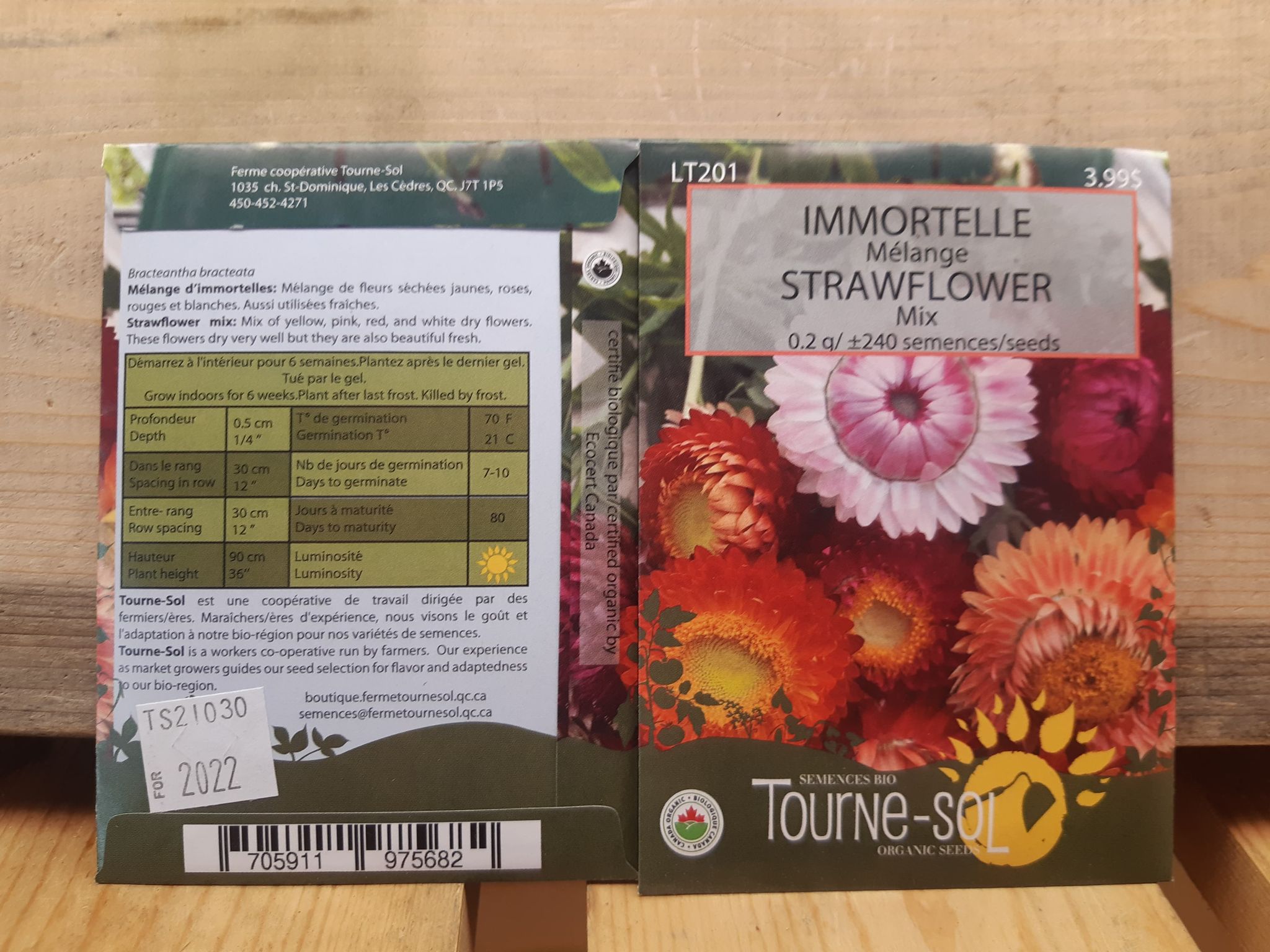 Immortelle mélange