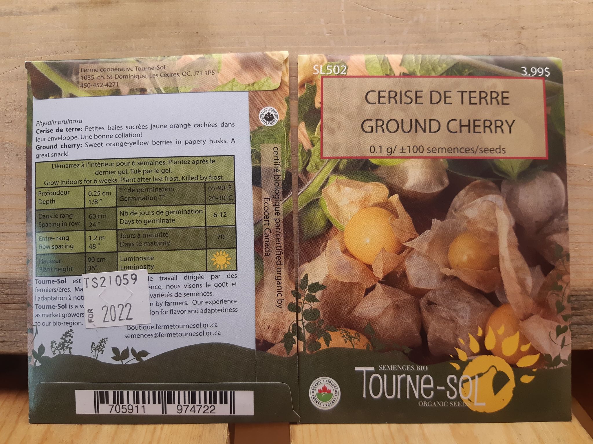 Cerise de terre