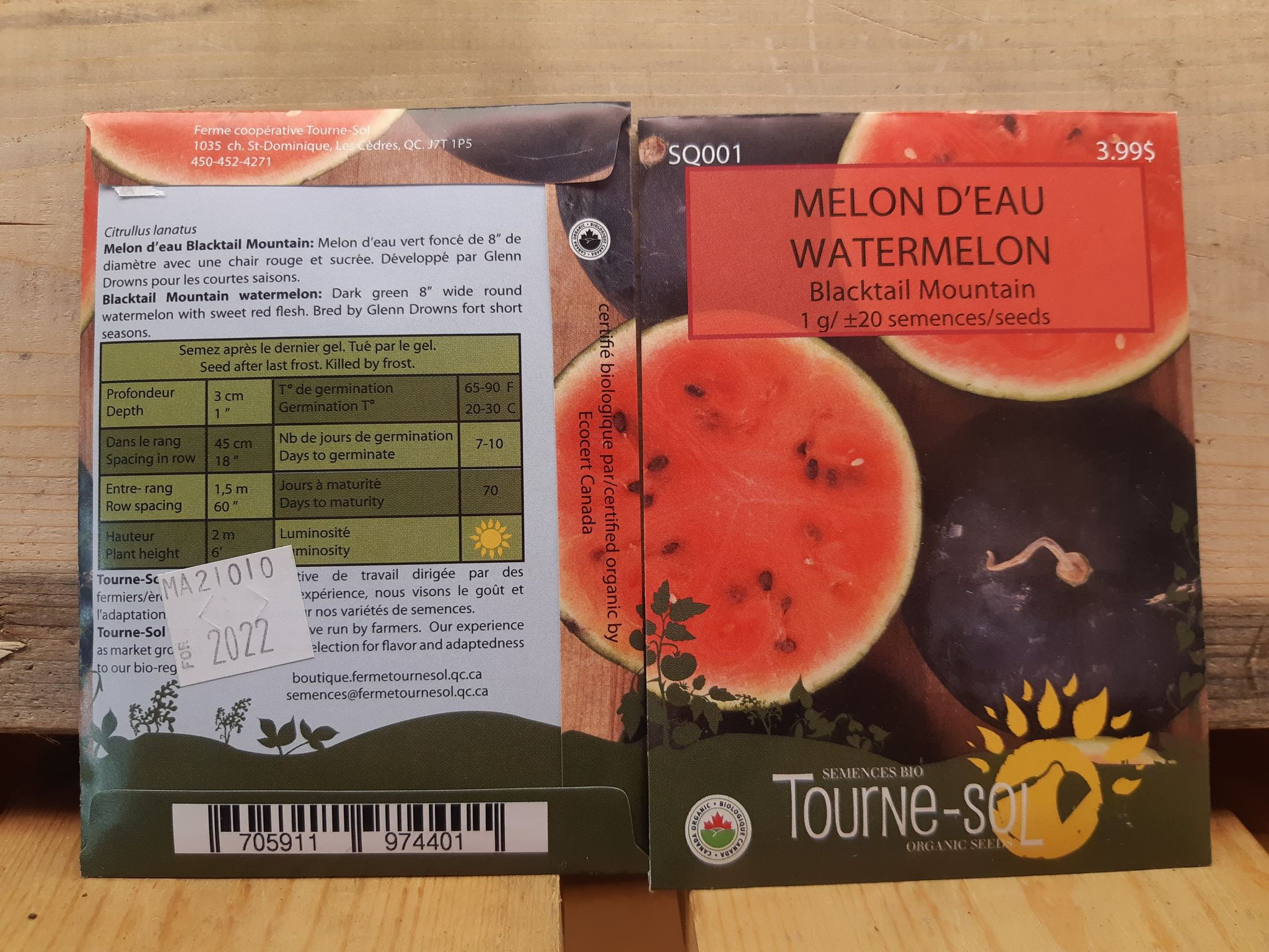 Melon d’eau	Blacktail Mountain