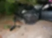 George McGee's crashed black Tesla with severe front damage under tree near a road, surrounded by debris and leaves.