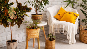 Designing with Nature: Sea Breezes, Light & Local Materials