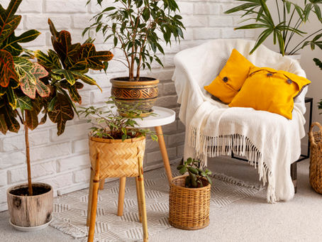 Designing with Nature: Sea Breezes, Light & Local Materials
