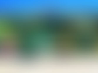 Ekosaurio: Bringing Caribbean Nature to Cities Around the World