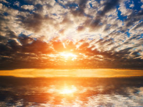 Apoyo a los artistas afectados por el huracán Melissa