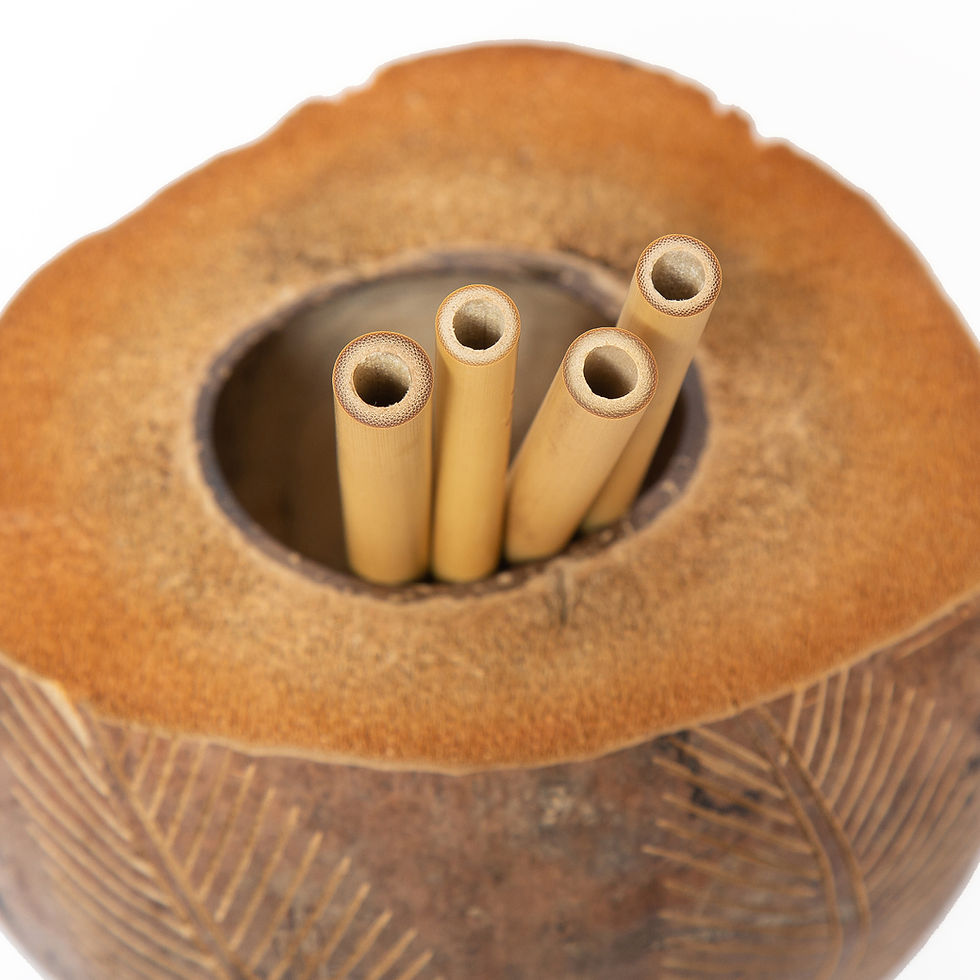 Thumbnail: Bohemian Bowls Close Up Of Bamboo Straws Diameter Straws Held In Cut Coconut Displaying Husk