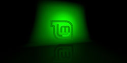 Linux Mint 2