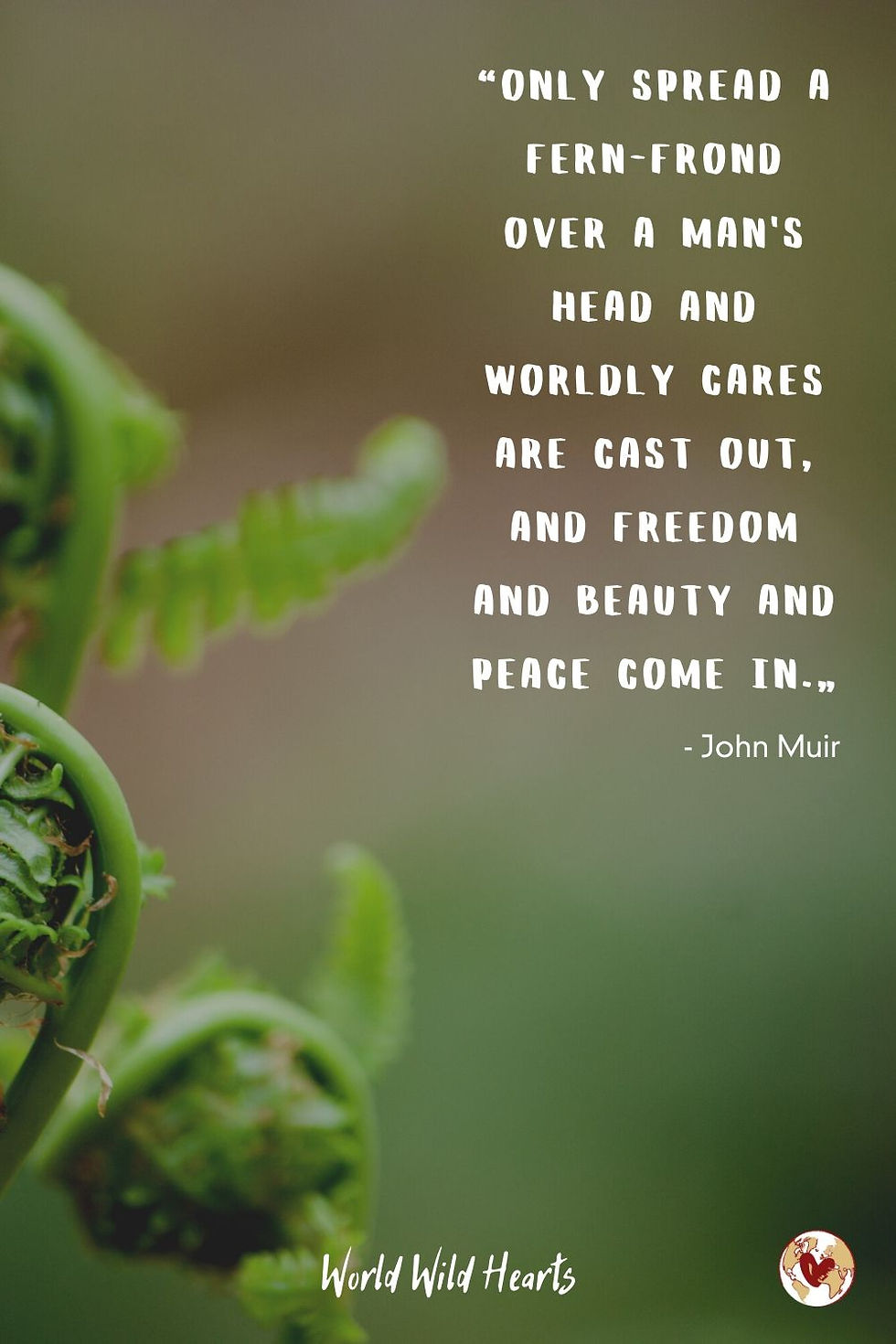 John Muir quote on nature
