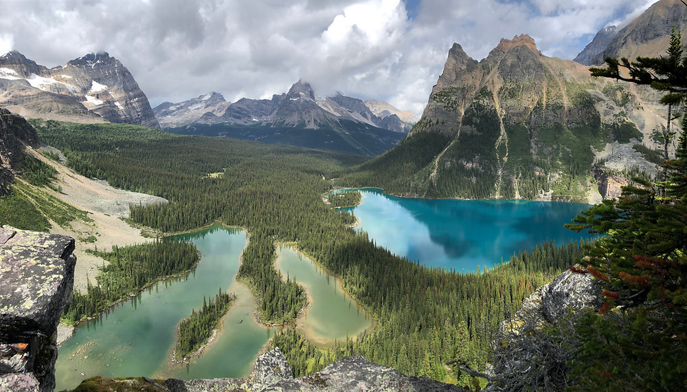 Opabin Prospect viewpoint over Lake O'Hara