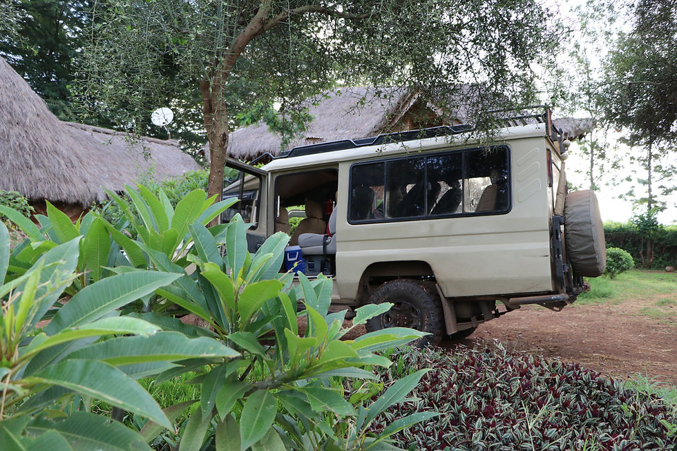 safari jeep to travel in Kenya on a budget