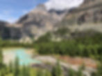 Colorful alpine meadows on the Opabin Plateau in Lake O'Hara