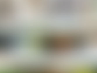 Resenha: Os Bridgertons