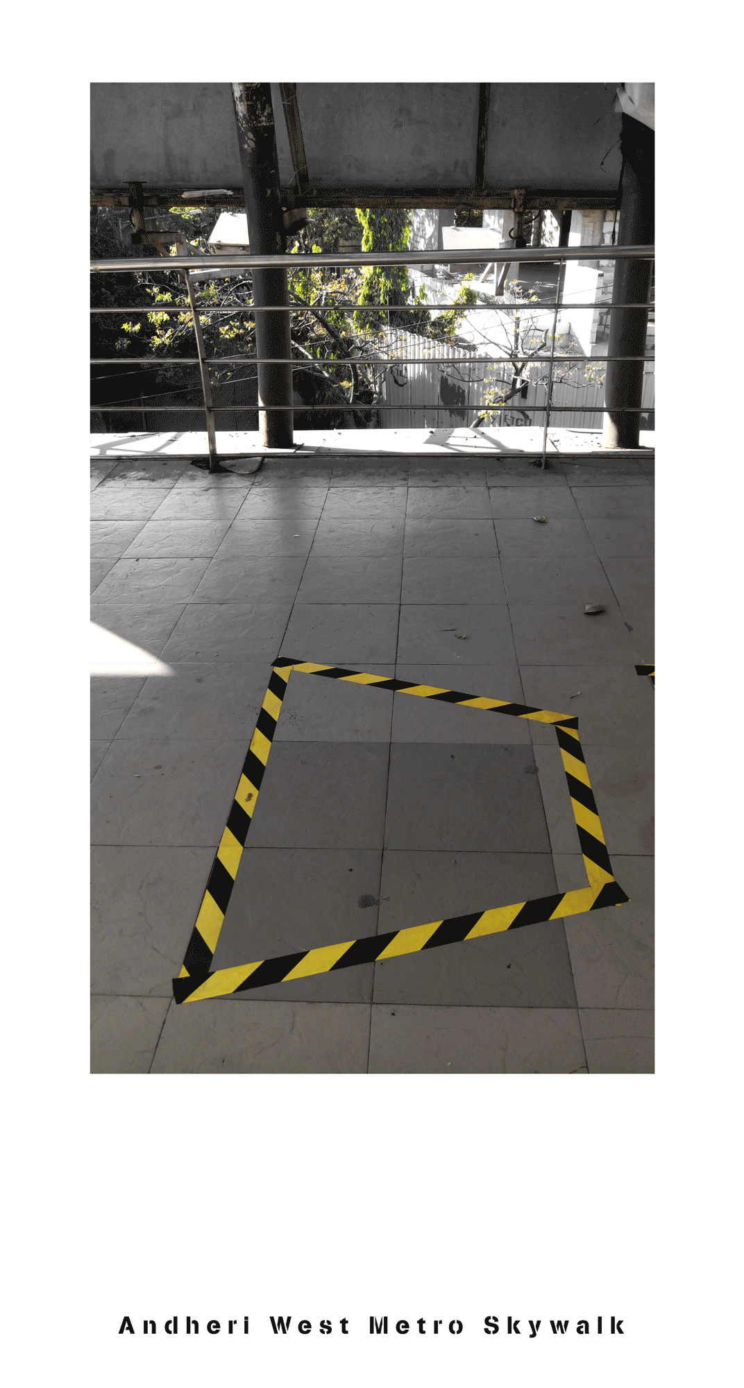 9ed4d1_15f0ef786e454fce8f58653d5b221da5~mv2.gif