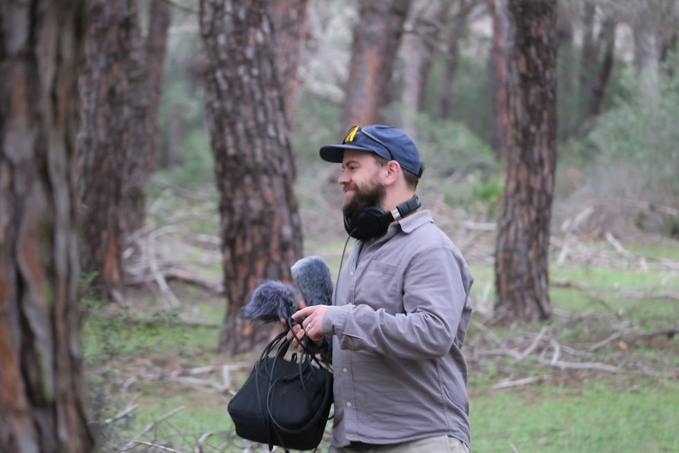 Doñana Birdsong Retreat, 2024