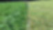 PastureRestoration.jpg