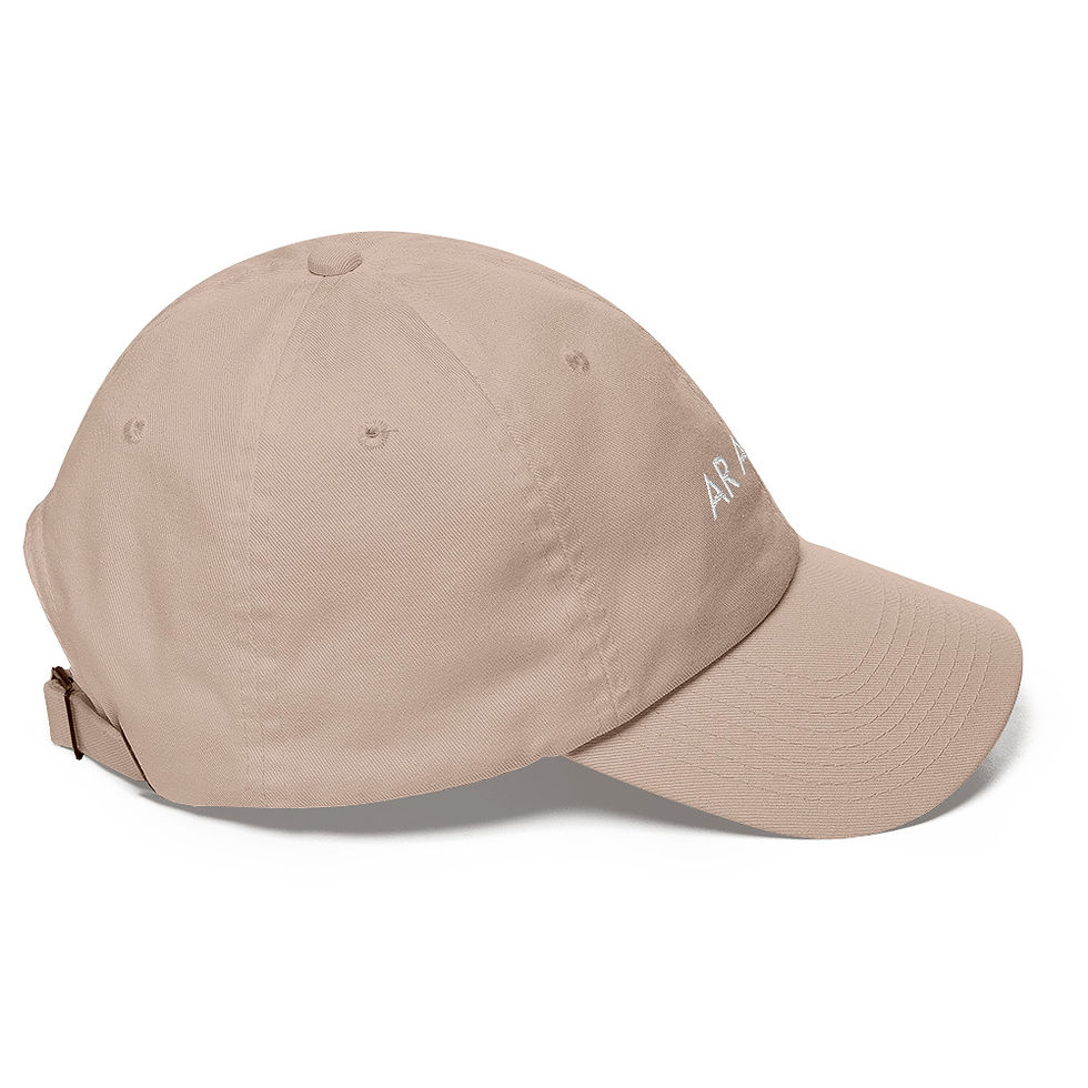 Thumbnail: AR Artist cap, tan