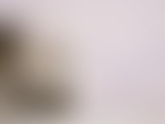 You Have Mold — Now What?