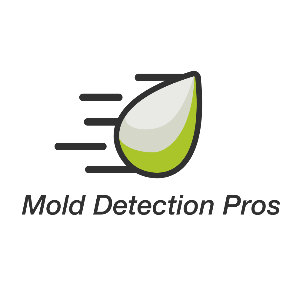 Mold Detection Pros — Austin - Home inspector in Pflugerville
