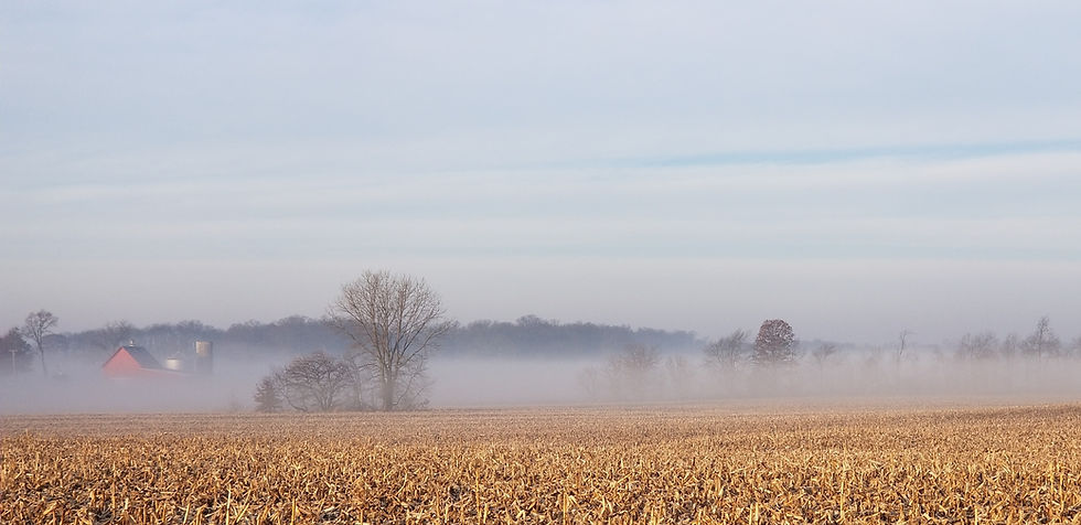 Indiana.jpg