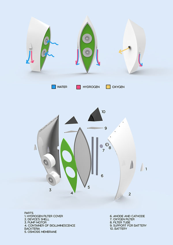 presentation board 2.jpg