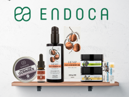 Endoca raw CBD skincare product review featuring hemp face and body oil, nighttime gummies, raw hemp oil, whipped body butter, hemp salve, and lip balm displayed on a shelf.