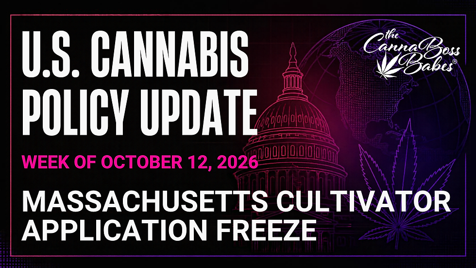 U.S. Cannabis Policy Update for the week of October 12, 2026, highlighting Massachusetts' cultivator application freeze. Bold white and pink lettering appears over a black background featuring neon outlines of the U.S. Capitol, a globe, and a cannabis leaf, with The Canna Boss Babes logo.