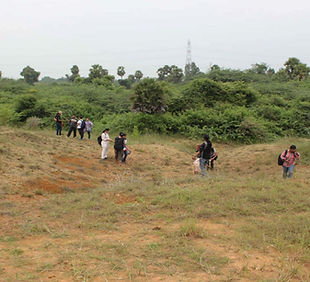 Untitled design (6).jpg