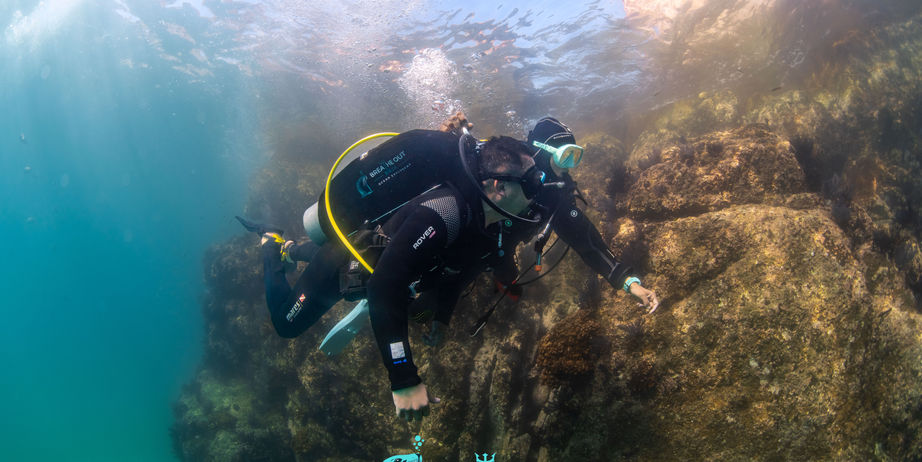 Scuba diver exploring rocky reef in Cabo San Lucas, Baja California Sur
