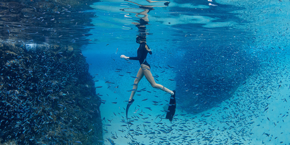 A young woman snorkeling among tropical fish during a guided tour in the Cabo San Lucas Marine Park