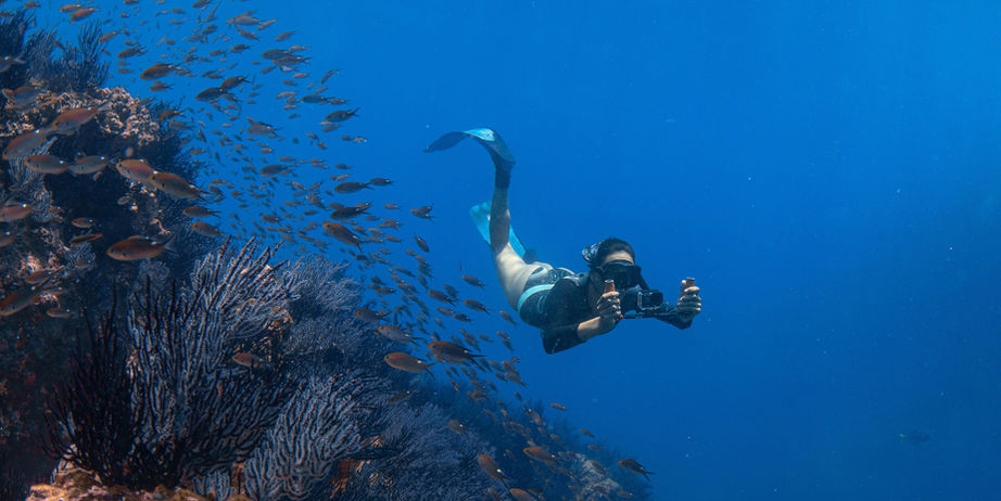 Professional Breathe Out Baja free diver exploring a vibrant coral reef in the crystal clear waters of Cabo San Lucas
