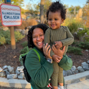 Enjoy the Holidays at Wild Adventures