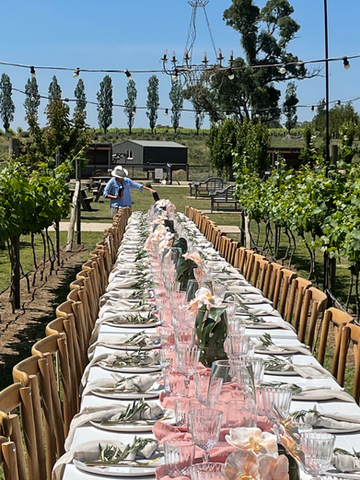 Long lunch in the vineyard