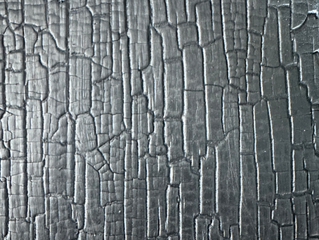 Shou Sugi Ban Wood: The Ultimate Guide to Charred Wood Siding
